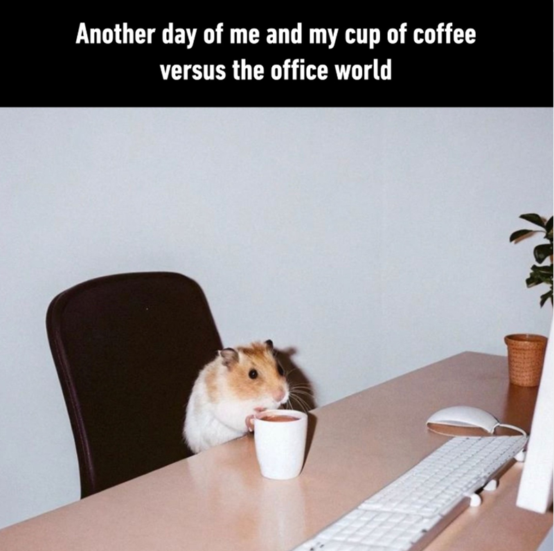 Another day of me and my cup of coffee versus the office world