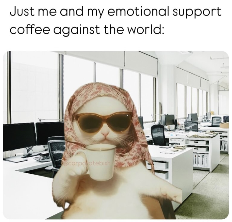 Just me and my emotional support coffee against the world: corporatebish