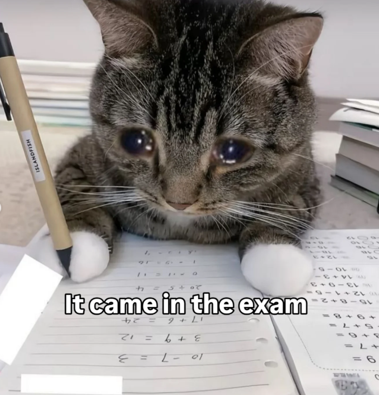UWEA 9= 10 -7 3 +9 = 3 12 17+ 6 = 24 It came in the exam 15-8 10 12+1 12 BUC 13-0 14+3- 010-5 12+3 6012 5014 917 21 ISLANDFISH