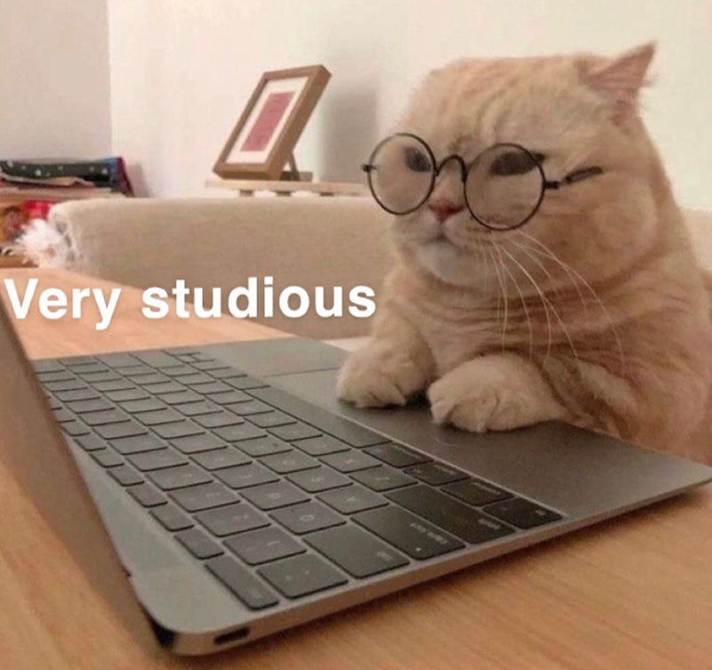 Very studious