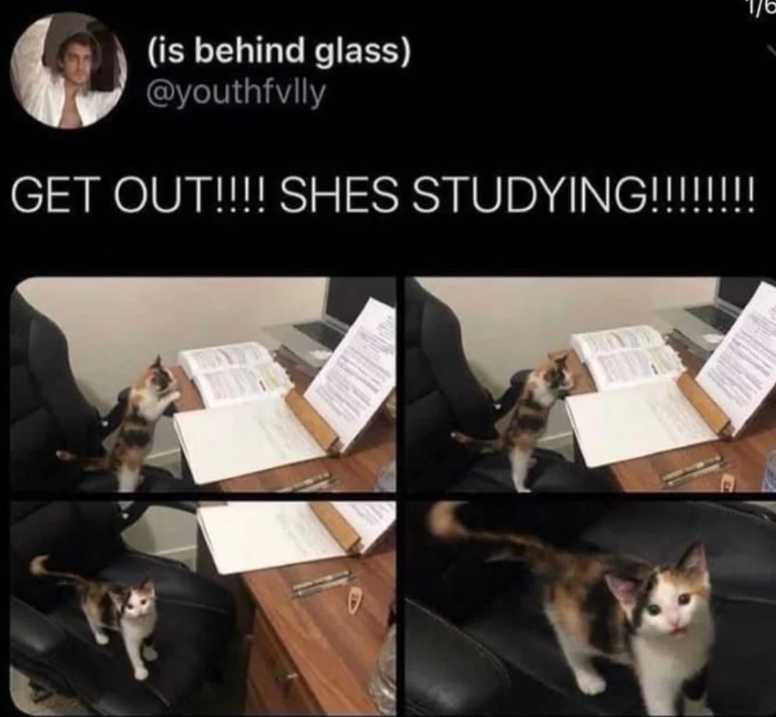 (is behind glass) @youthfvlly GET OUT!!!! SHES STUDYING!!!!!!!! 1/6