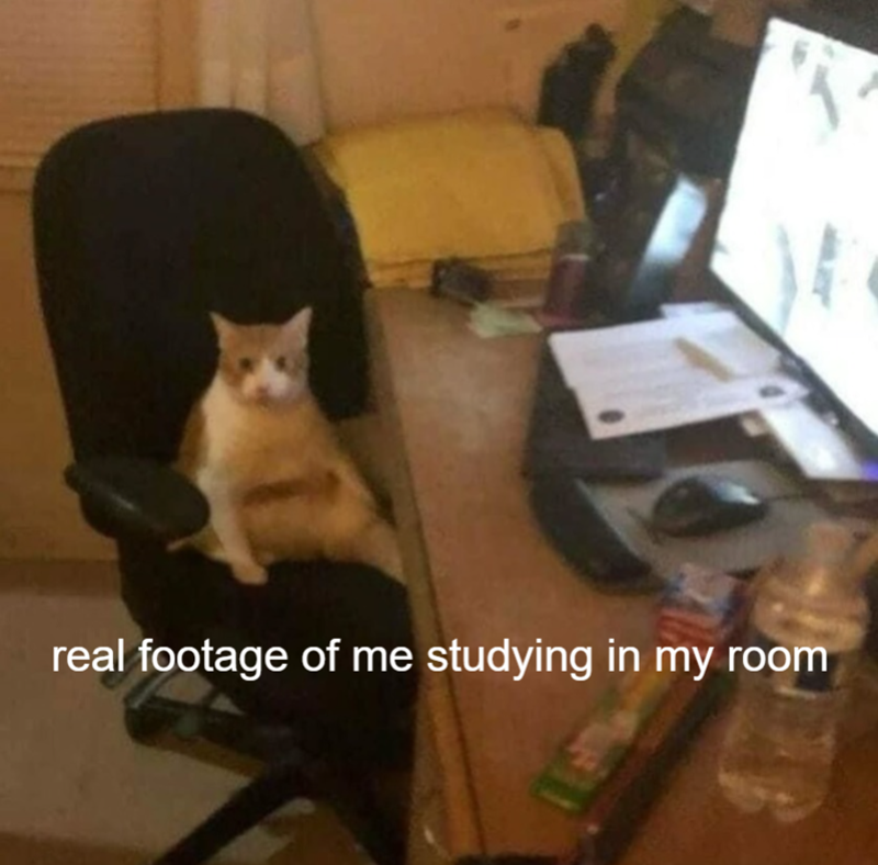 real footage of me studying in my room