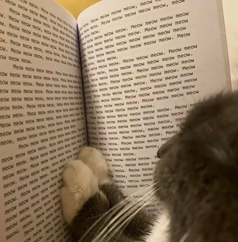 eow meow meow meow meow Ow meow. Meow meow wow. Meow meow meow meow, meow Meow meow meow meow. Mes new w. Meow meow meow meow meow to t w. Meow meow meow meow meow meo ex Ow meow meow meow meow meow. Yeo tea ow. Meow meow meow meow meow Meow me, wow. Meow meow meow, meow neow new me ow meow meow. neow meow. Meow meow meow meow meow, mec neow meow o neow meow meow meow. Meow meow meow meow neow meow meow meow meow. Meow meow meow Meow meow meow meow meow meow meow meow Neow meow meow meow meow me