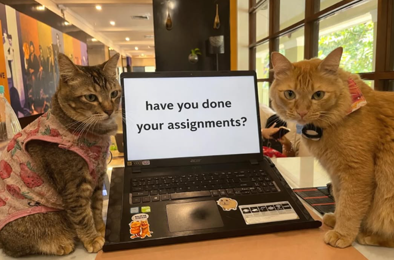 VE have you done your assignments? LL