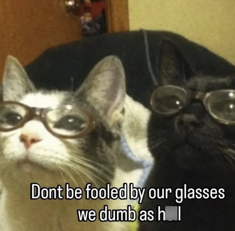 Dont be fooled by our glasses we dumb as h