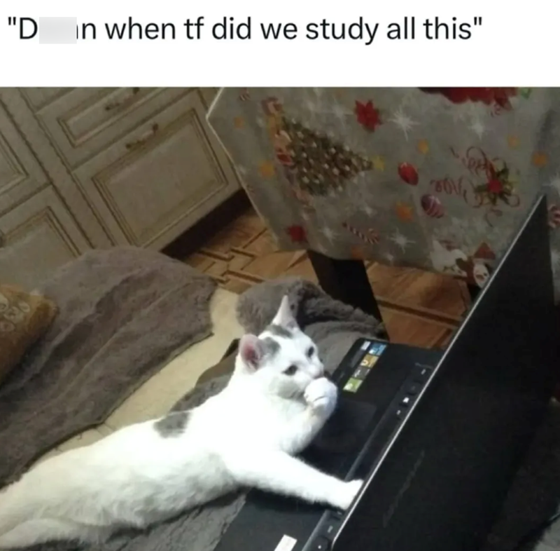 "D in when tf did we study all this"