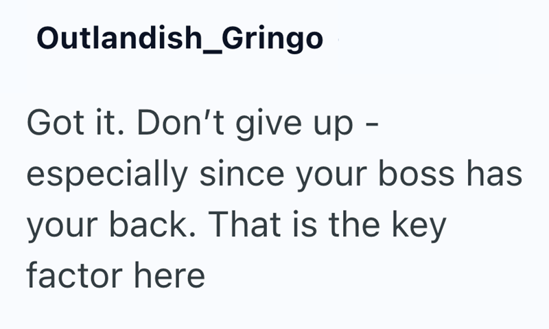 Outlandish_Gringo Got it. Don't give up - especially since your boss has your back. That is the key factor here
