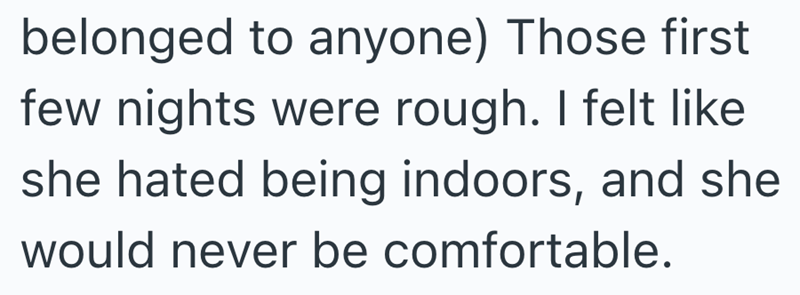 belonged to anyone) Those first few nights were rough. I felt like she hated being indoors, and she would never be comfortable.