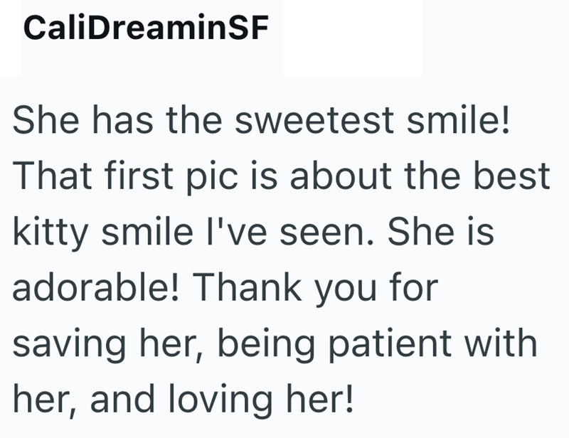 CaliDreaminSF She has the sweetest smile! That first pic is about the best kitty smile I've seen. She is adorable! Thank you for saving her, being patient with her, and loving her!
