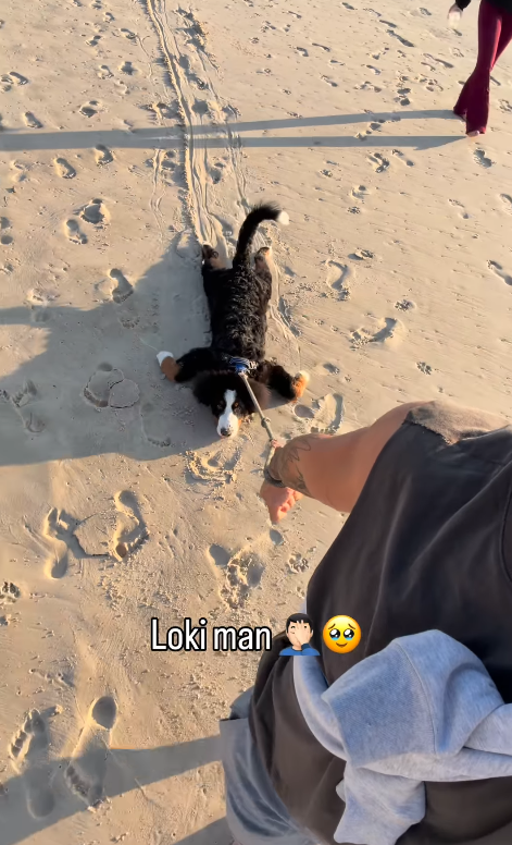 Loki man❤