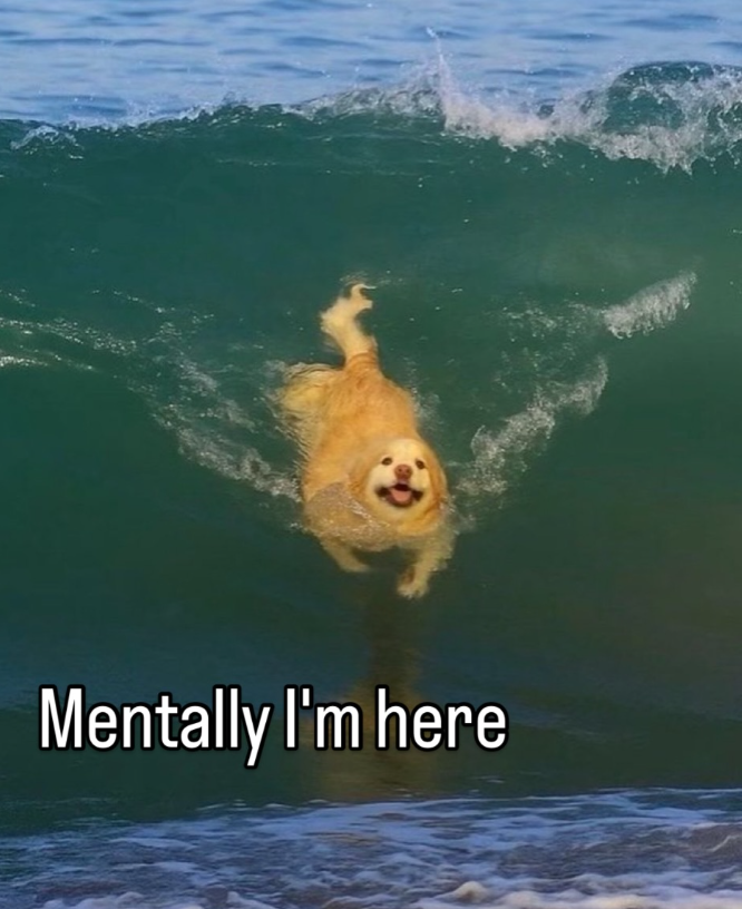 Mentally I'm here