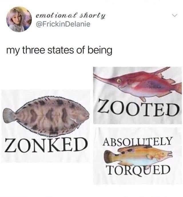 emotional shorty @FrickinDelanie my three states of being ZOOTED ZONKED ABSOLUTELY TORQUED