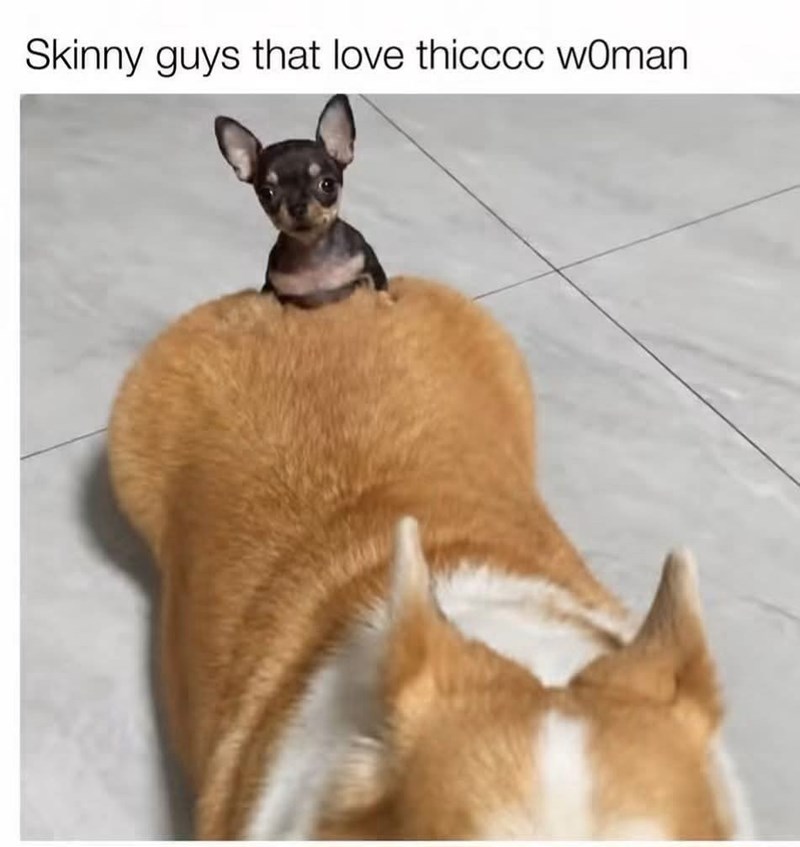 Skinny guys that love thicccc woman
