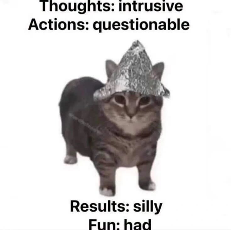 Thoughts: intrusive Actions: questionable Results: silly Fun: had