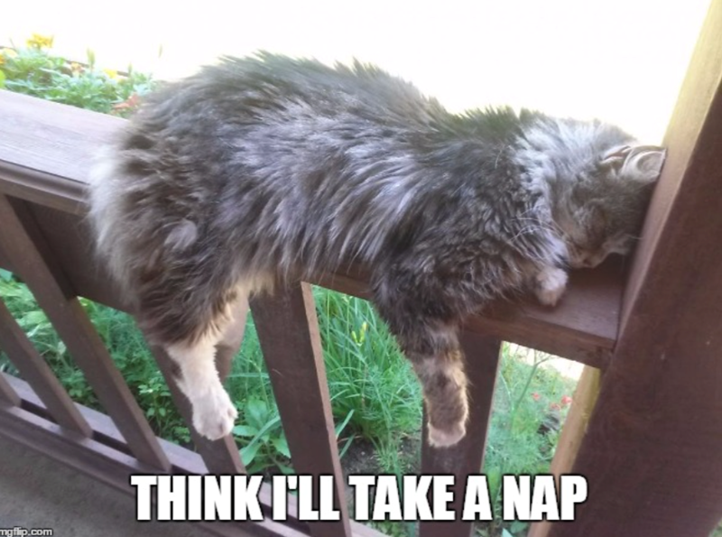mgflip.com THINK I'LL TAKE A NAP