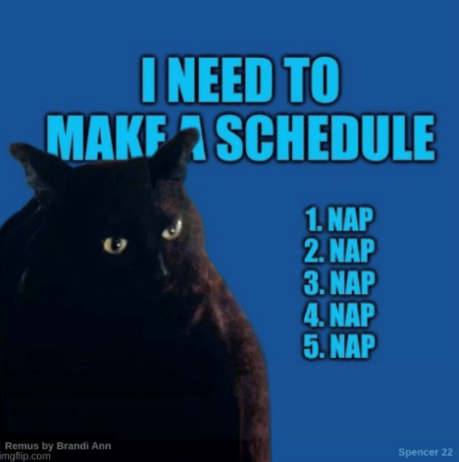 I NEED TO MAKE SCHEDULE 1. NAP Remus by Brandi Ann imgflip.com 2. NAP 3. NAP 4. NAP 5. NAP Spencer 22