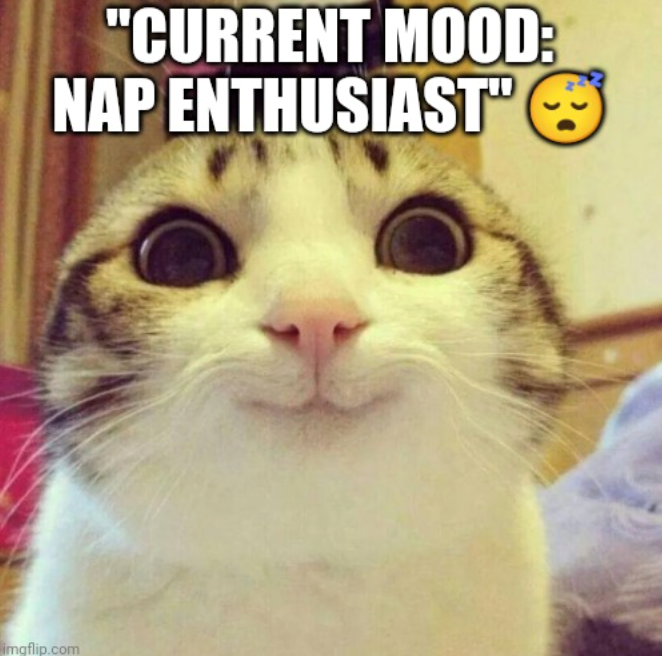 "CURRENT MOOD: NAP ENTHUSIASTS imgflip.com