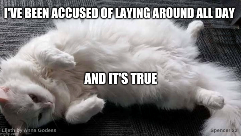 I'VE BEEN ACCUSED OF LAYING AROUND ALL DAY Lileth by Anna Godess imgflip.com AND IT'S TRUE Spencer 22