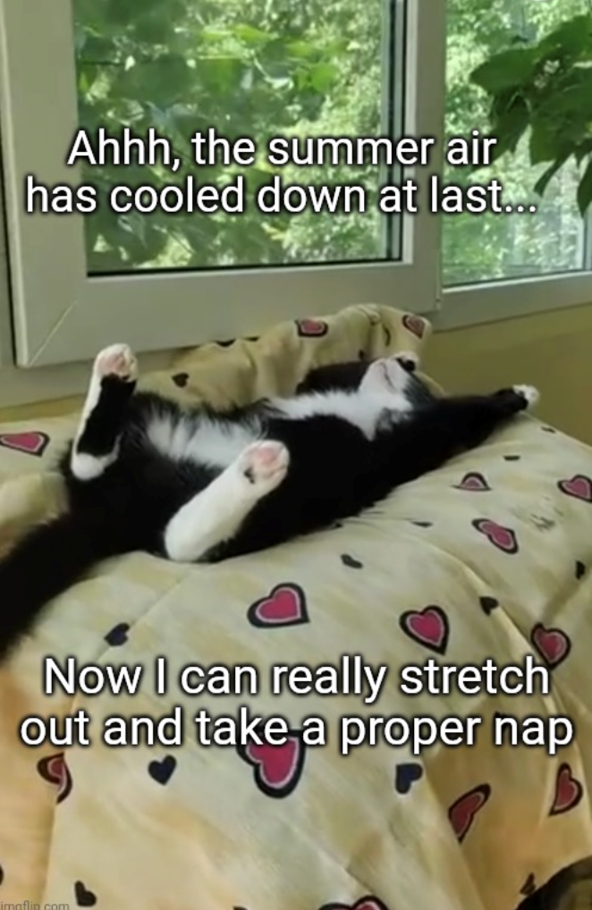 Ahhh, the summer air has cooled down at last... Now I can really stretch out and take a proper nap