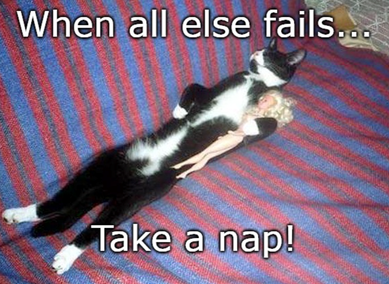 When all else fails... Take a nap!