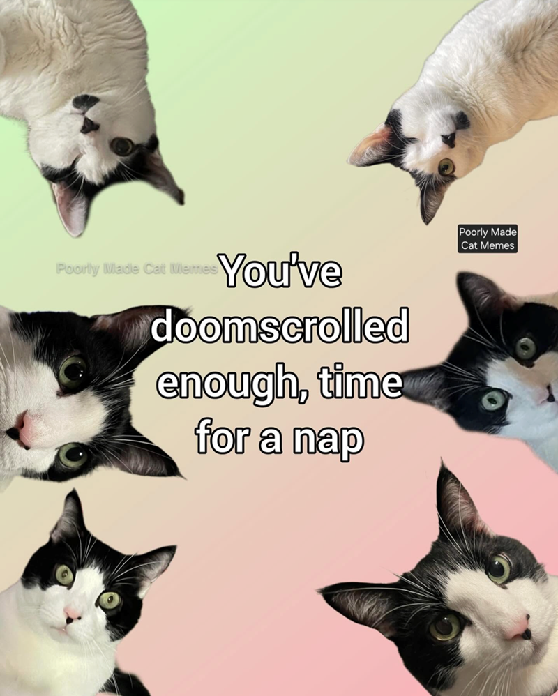 Poorly Made Cat Memes You've doomscrolled enough, time for a nap Poorly Made Cat Memes
