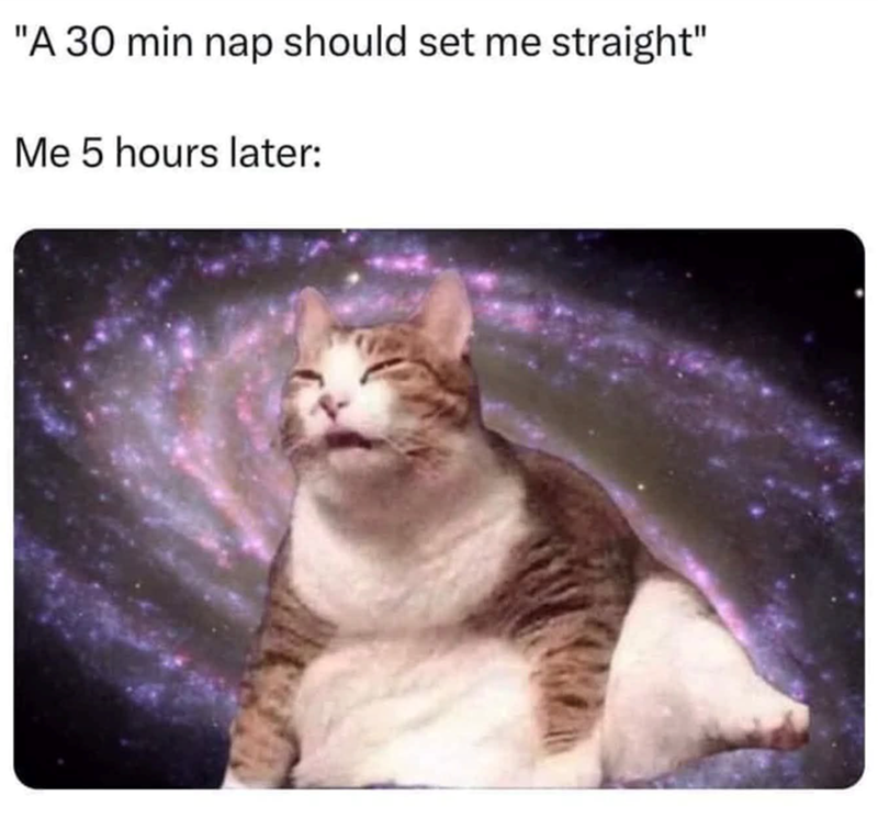 "A 30 min nap should set me straight" Me 5 hours later: