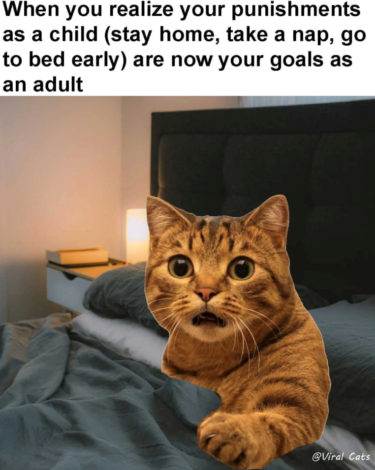 When you realize your punishments as a child (stay home, take a nap, go to bed early) are now your goals as an adult @Viral Cats