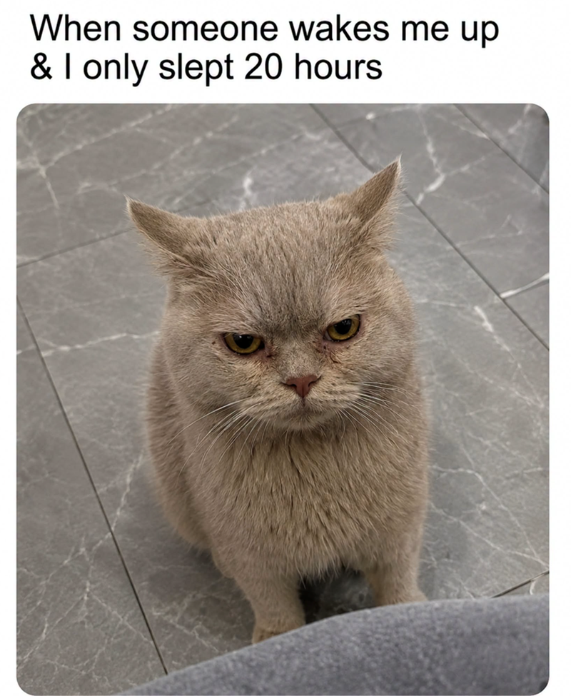 When someone wakes me up & I only slept 20 hours