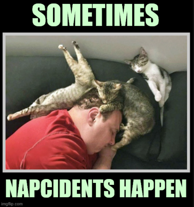 SOMETIMES NAPCIDENTS HAPPEN imgflip.com