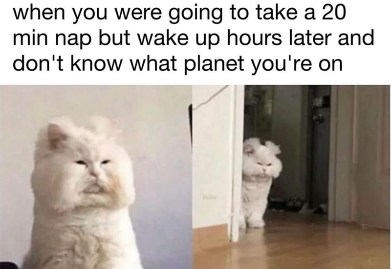 when you were going to take a 20 min nap but wake up hours later and don't know what planet you're on