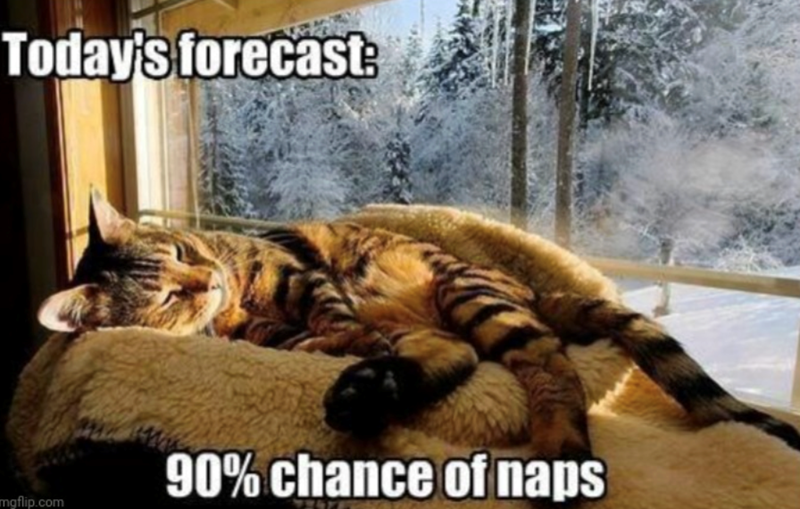 Today's forecast: mgflip.com 90% chance of naps