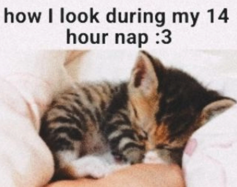 how I look during my 14 hour nap :3