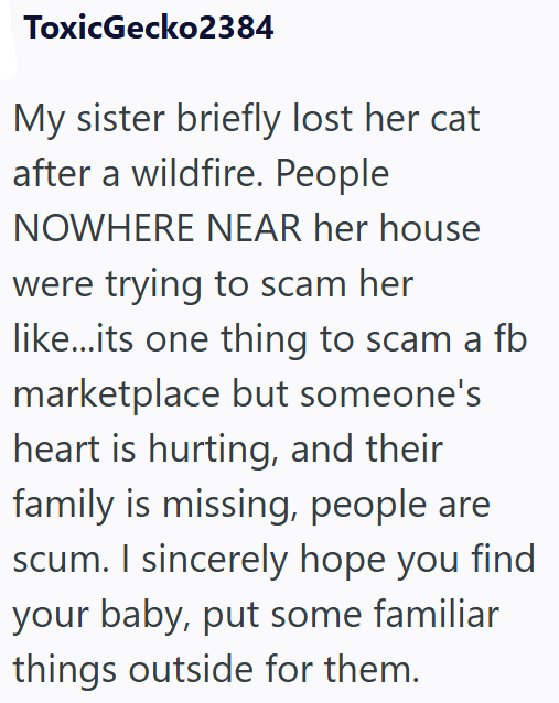 ToxicGecko2384 My sister briefly lost her cat after a wildfire. People NOWHERE NEAR her house were trying to scam her like...its one thing to scam a fb marketplace but someone's heart is hurting, and their family is missing, people are scum. I sincerely hope you find your baby, put some familiar things outside for them.