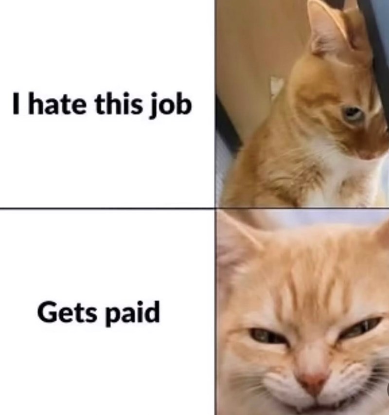 I hate this job Gets paid