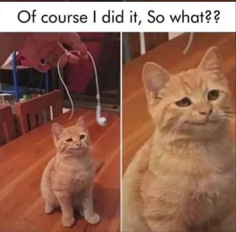 Of course I did it, So what??