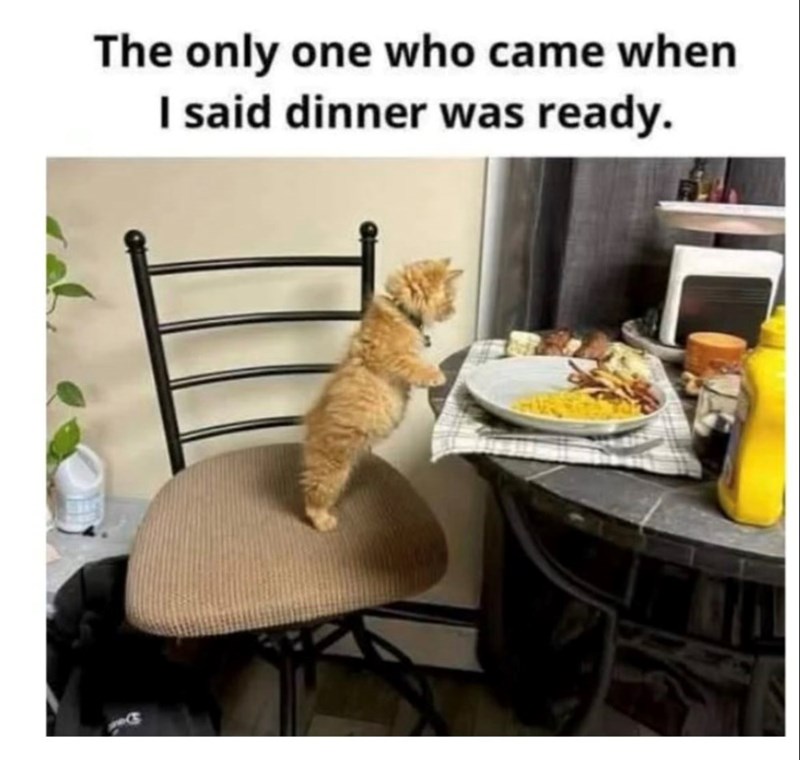 The only one who came when I said dinner was ready.