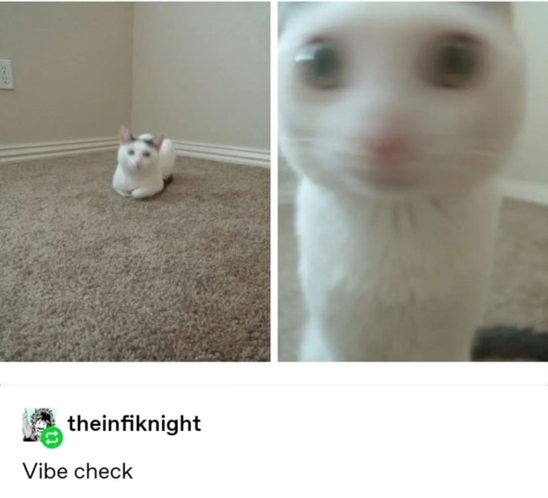 theinfiknight Vibe check