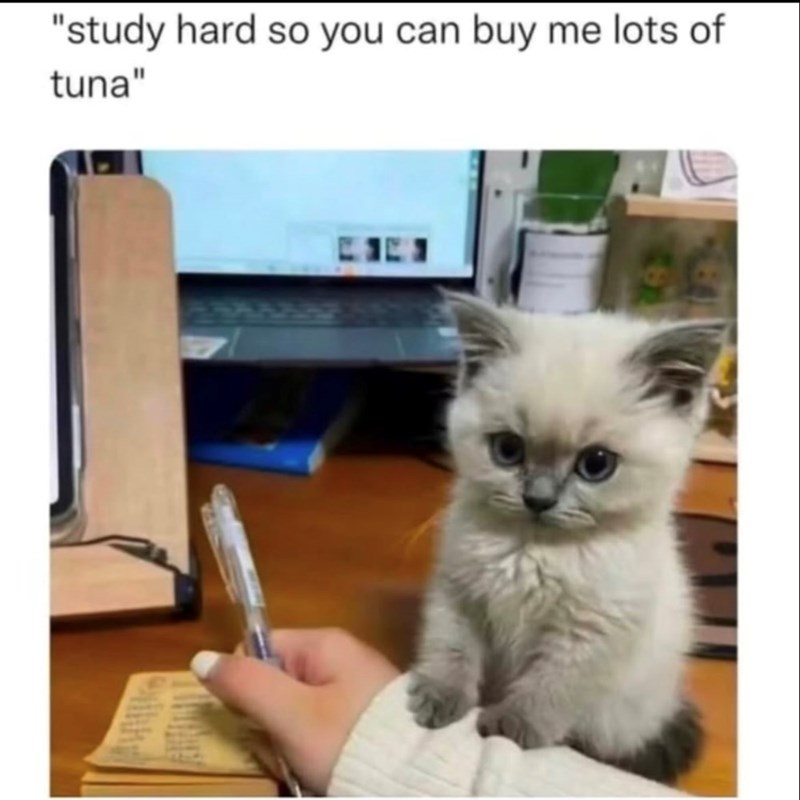 "study hard so you can buy me lots of tuna"