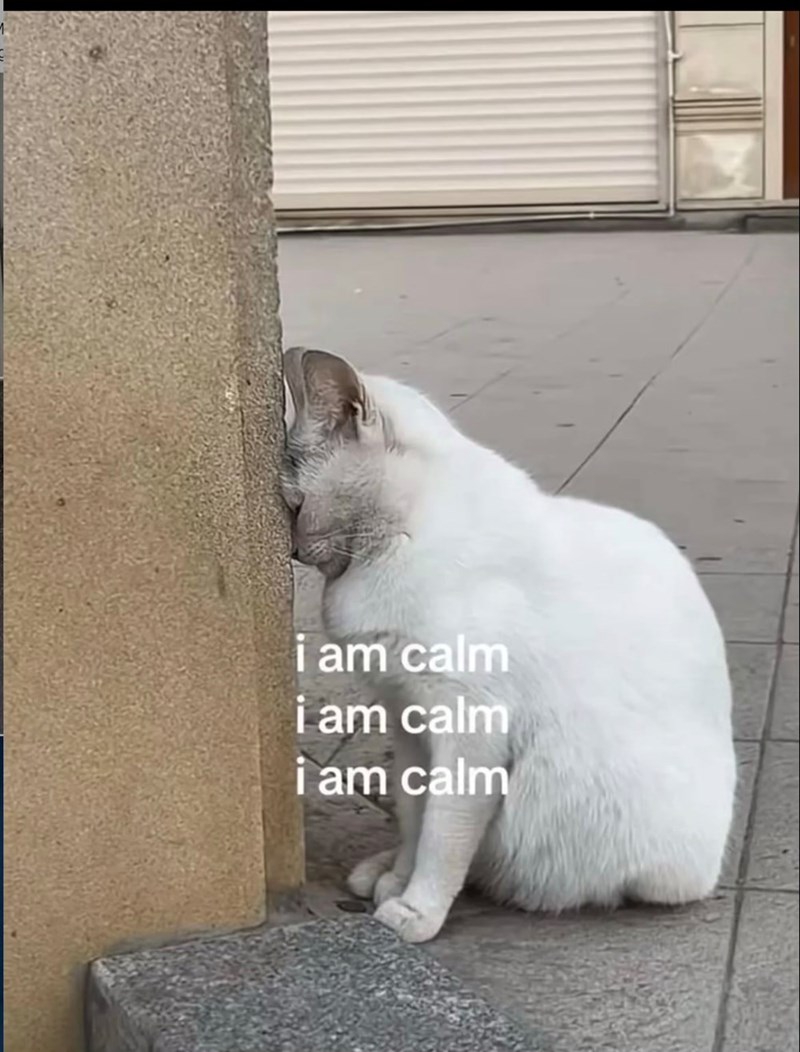 i am calm i am calm i am calm