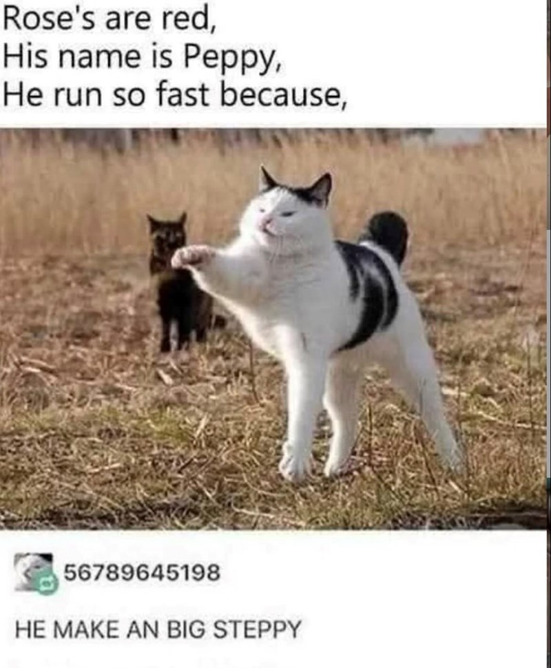 Rose's are red, His name is Peppy, He run so fast because, 56789645198 HE MAKE AN BIG STEPPY