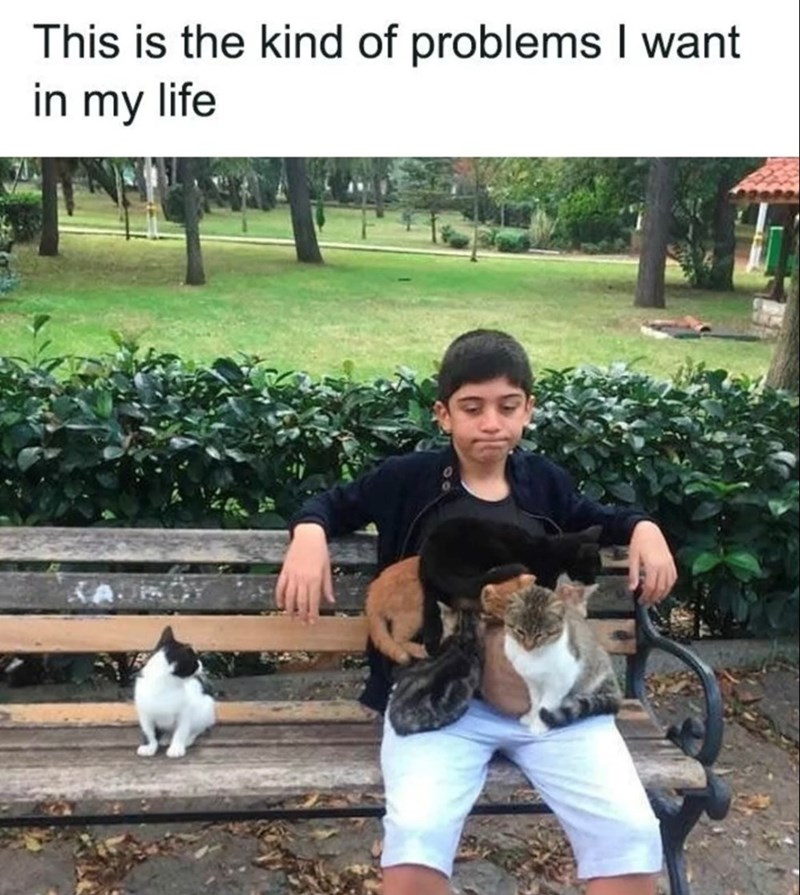 This is the kind of problems I want in my life