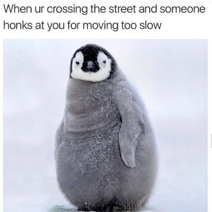 When ur crossing the street and someone honks at you for moving too slow