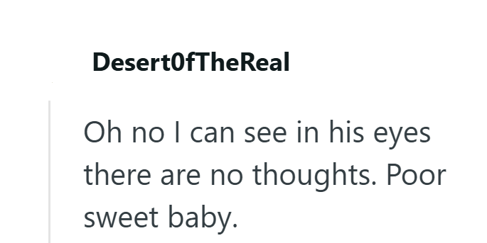 DesertOfTheReal Oh no I can see in his eyes there are no thoughts. Poor sweet baby.
