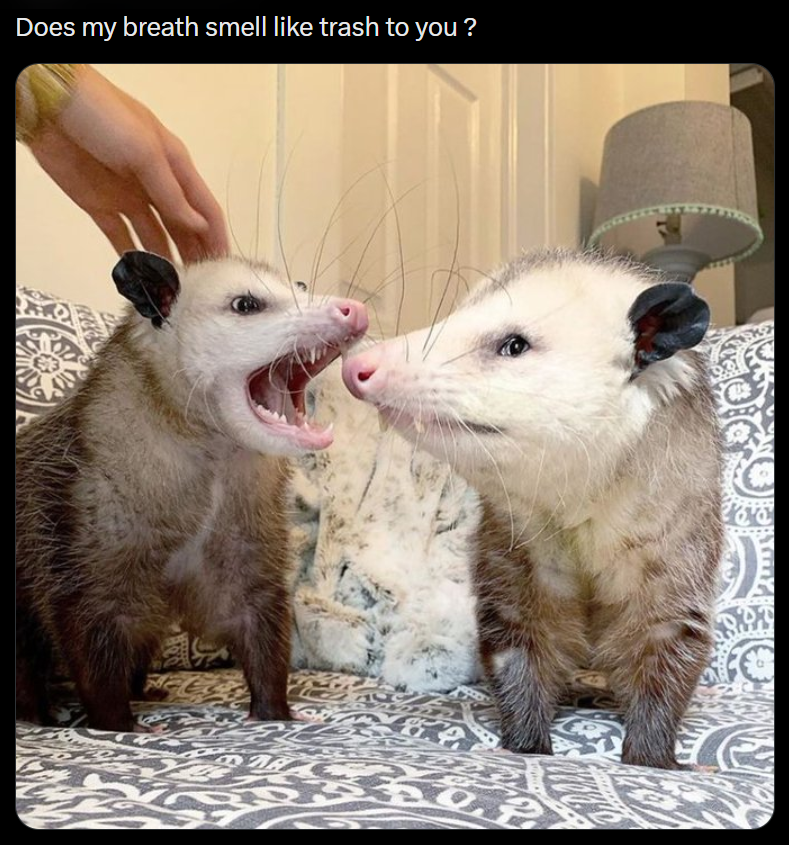 Does my breath smell like trash to you?