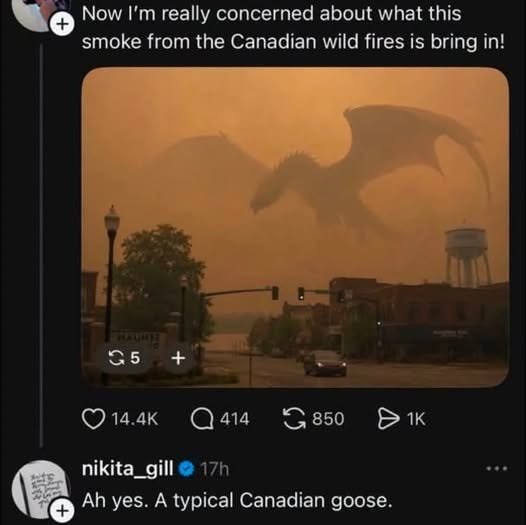 + Now I'm really concerned about what this smoke from the Canadian wild fires is bring in! 5 + 14.4K Q414 850 > 1K nikita_gill 17h Ah yes. A typical Canadian goose.