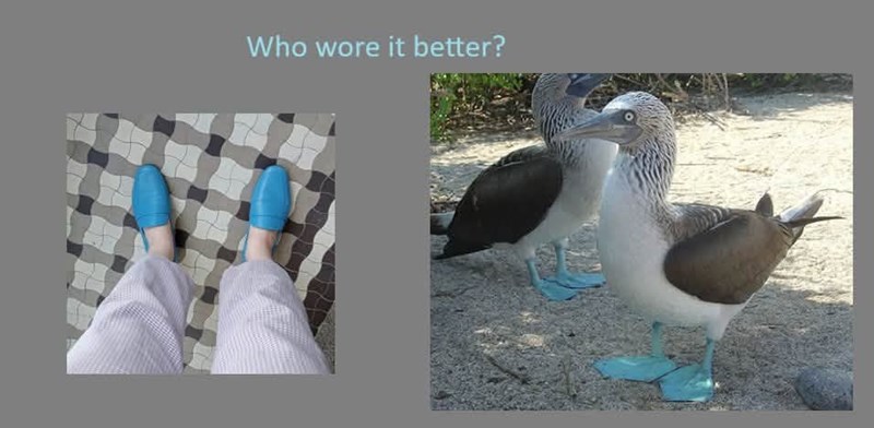 Who wore it better?