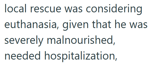 local rescue was considering euthanasia, given that he was severely malnourished, needed hospitalization,