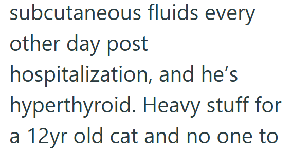 subcutaneous fluids every other day post hospitalization, and he's hyperthyroid. Heavy stuff for a 12yr old cat and no one to