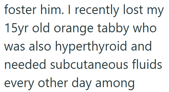 foster him. I recently lost my 15yr old orange tabby who was also hyperthyroid and needed subcutaneous fluids every other day among