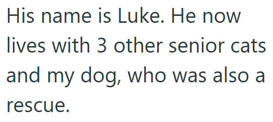 His name is Luke. He now lives with 3 other senior cats and my dog, who was also a rescue.